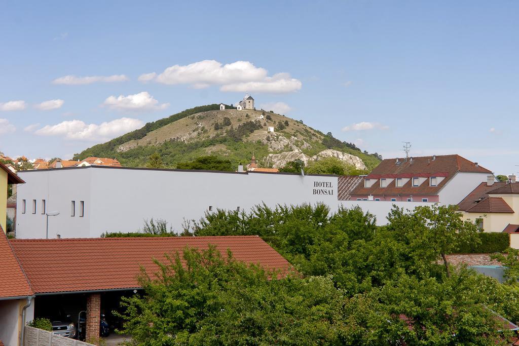 Pension Čížek Mikulov Bagian luar foto